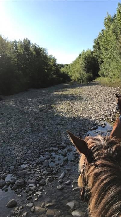 23130537_247530899110820_6197360724537372598_n