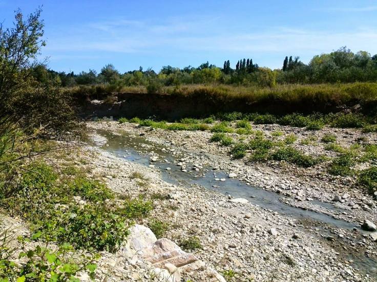 Uva-conca12004810_10153566377999431_2103450524635295823_n