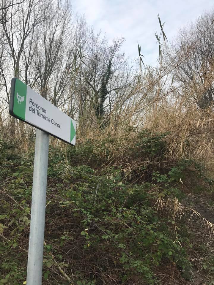 27072593_281087595755150_5000903781419143496_n