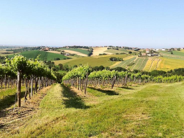 18519706_170527250144519_780897769335220684_n