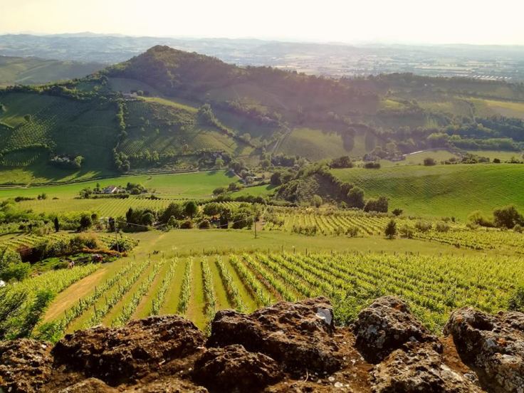 19059282_183979022132675_1315990461587165561_n