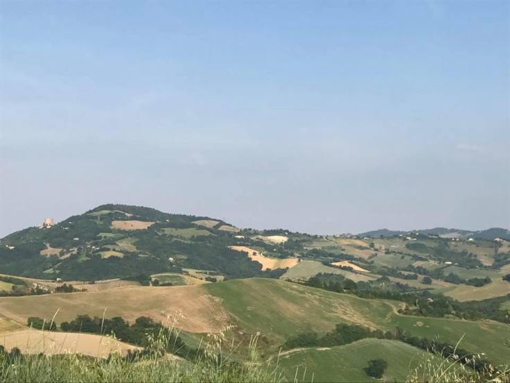 27868058_290655991464977_1080261149265030113_n