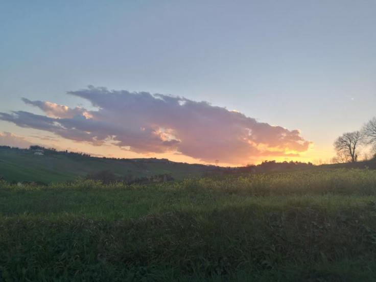 29214710_301635177033725_4544546531310567424_n