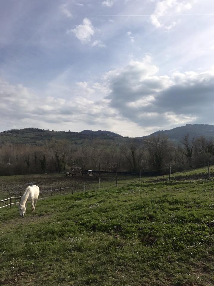 29571294_307730379757538_7693628545865018426_n