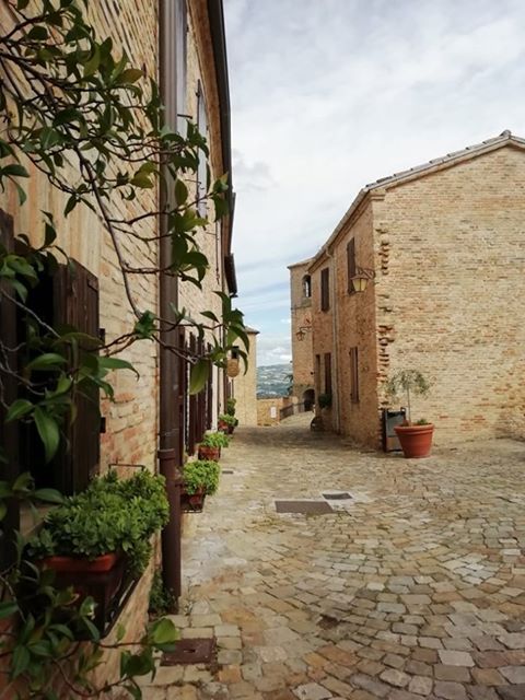 117336225_336841373988118_8249393752311811025_n