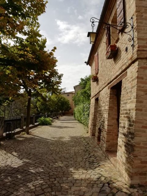 117338261_2389771011316498_7342465343691118957_n