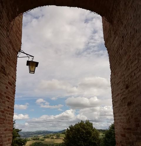 117342054_602631713783945_5550789657953005805_n